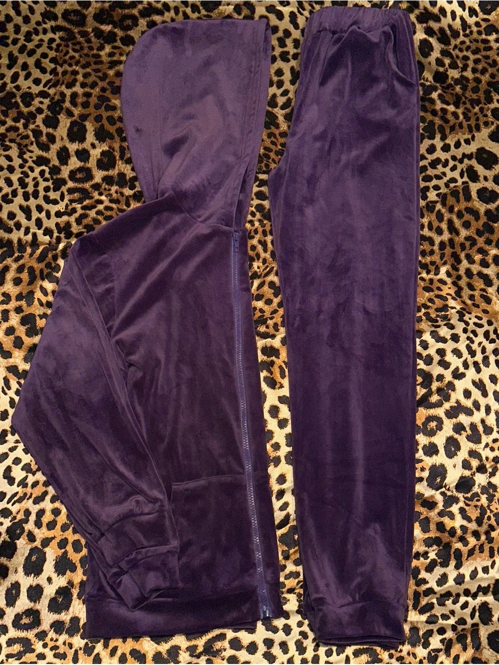 Rwtgnlf Girl’s Purple Velour Tracksuit Set